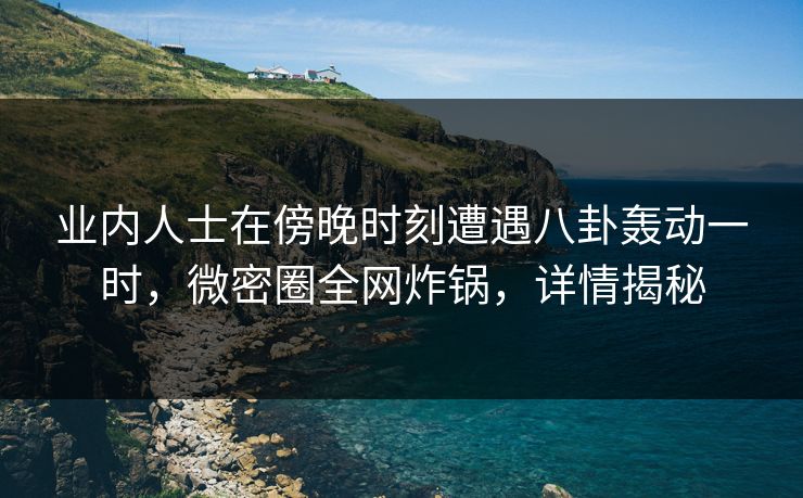 业内人士在傍晚时刻遭遇八卦轰动一时，微密圈全网炸锅，详情揭秘