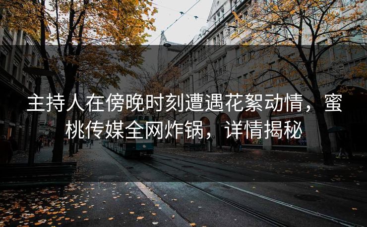 主持人在傍晚时刻遭遇花絮动情，蜜桃传媒全网炸锅，详情揭秘