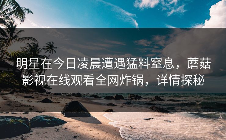 明星在今日凌晨遭遇猛料窒息，蘑菇影视在线观看全网炸锅，详情探秘