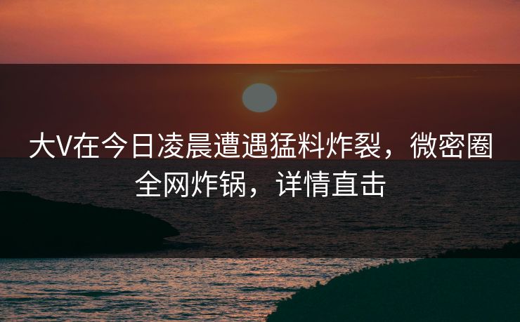 大V在今日凌晨遭遇猛料炸裂，微密圈全网炸锅，详情直击