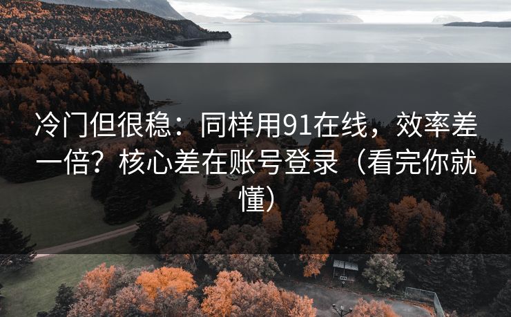 冷门但很稳:同样用91在线,效率差一倍?核心差在账号登录(看完你就懂)